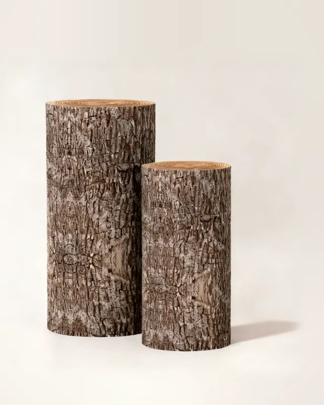 Forro cilindro tronco de árbol